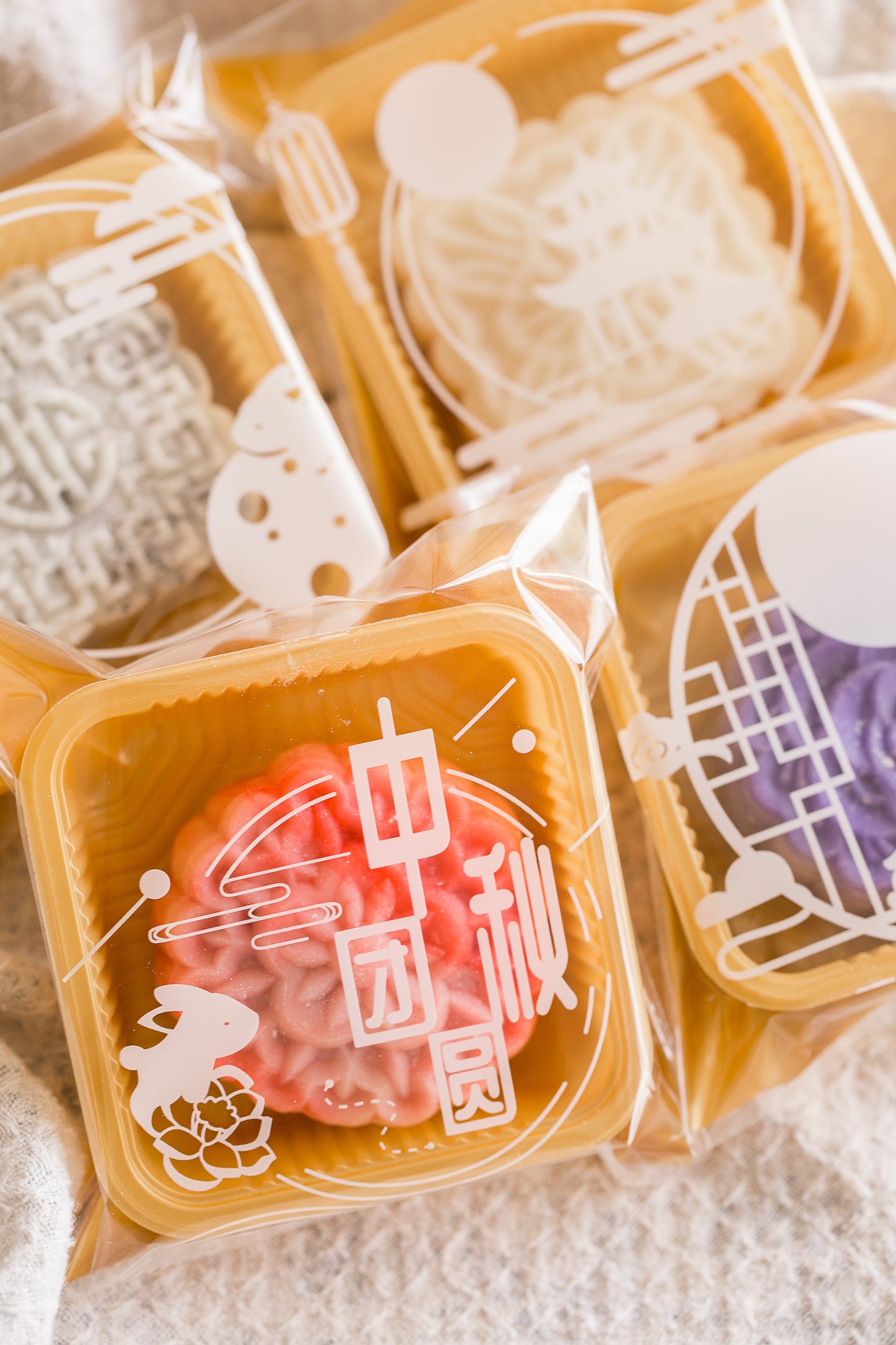 Assorted Snow Skin Mooncakes