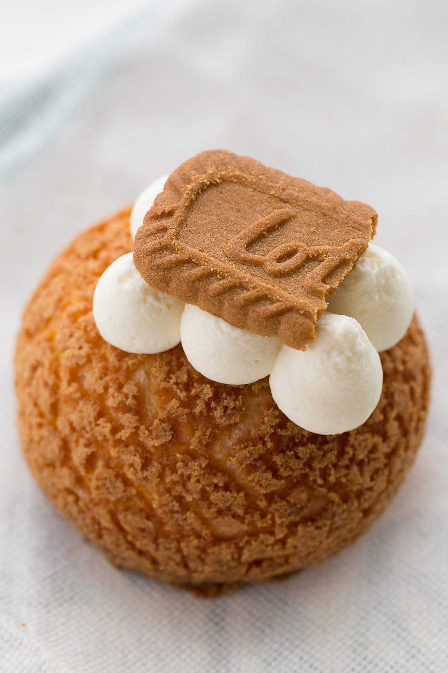 Biscoff Cheesecake Cream Puff