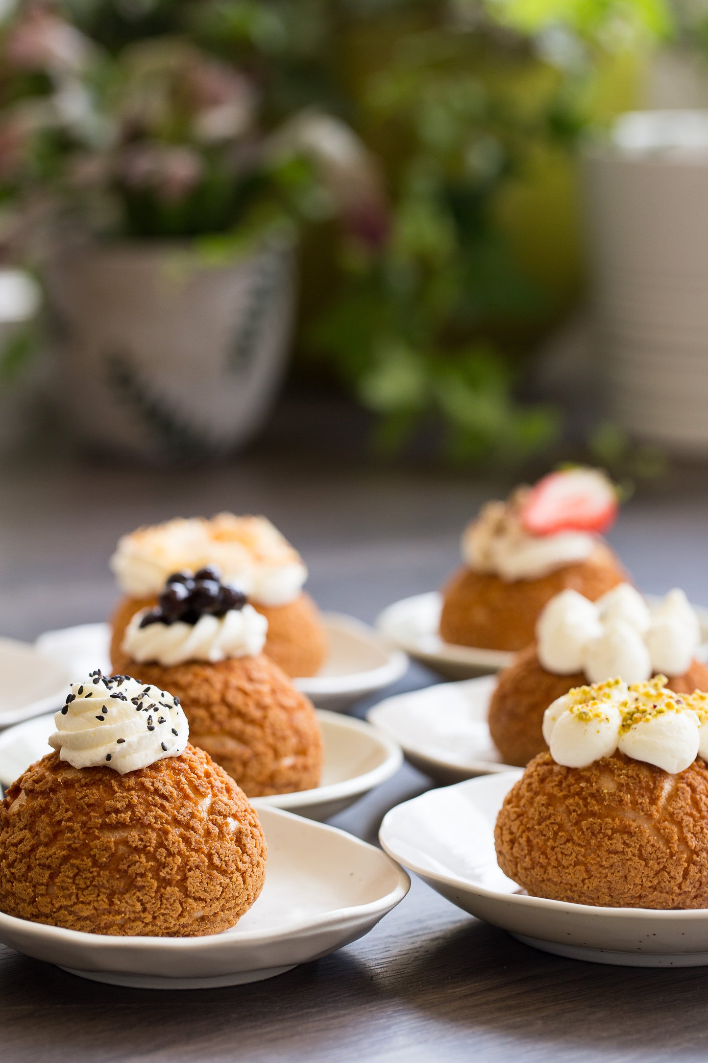 Regular Sized Assorted Cream Puffs