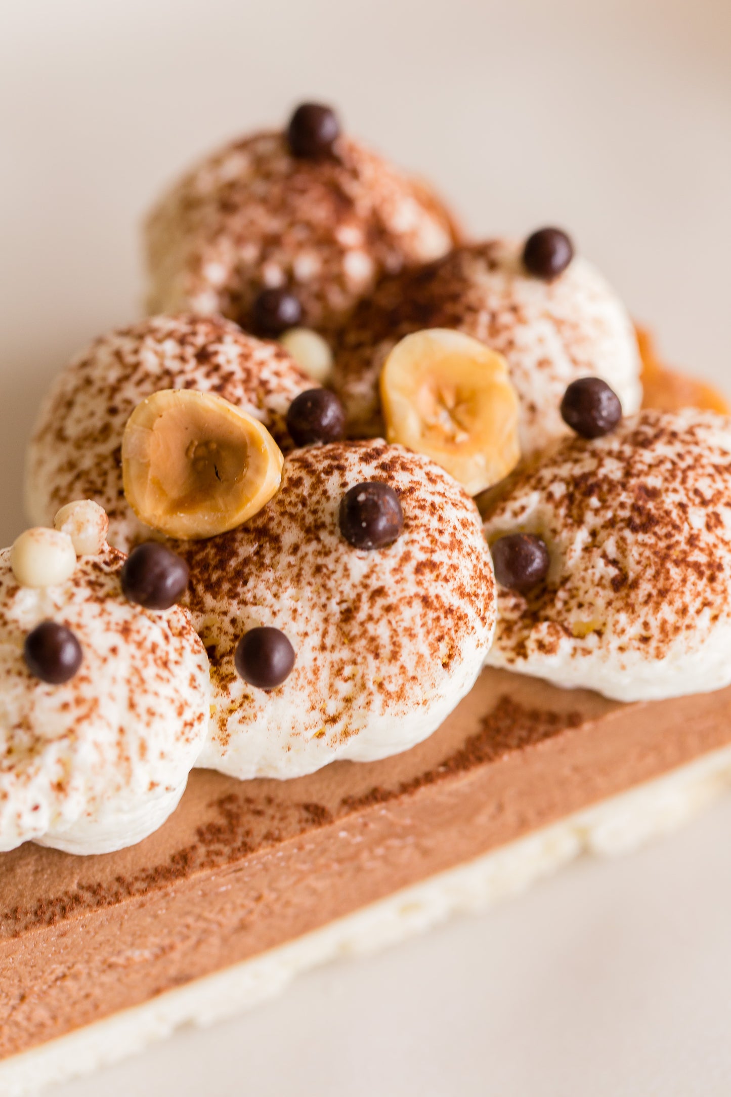 Milk Chocolate Hazelnut Mousse Tart