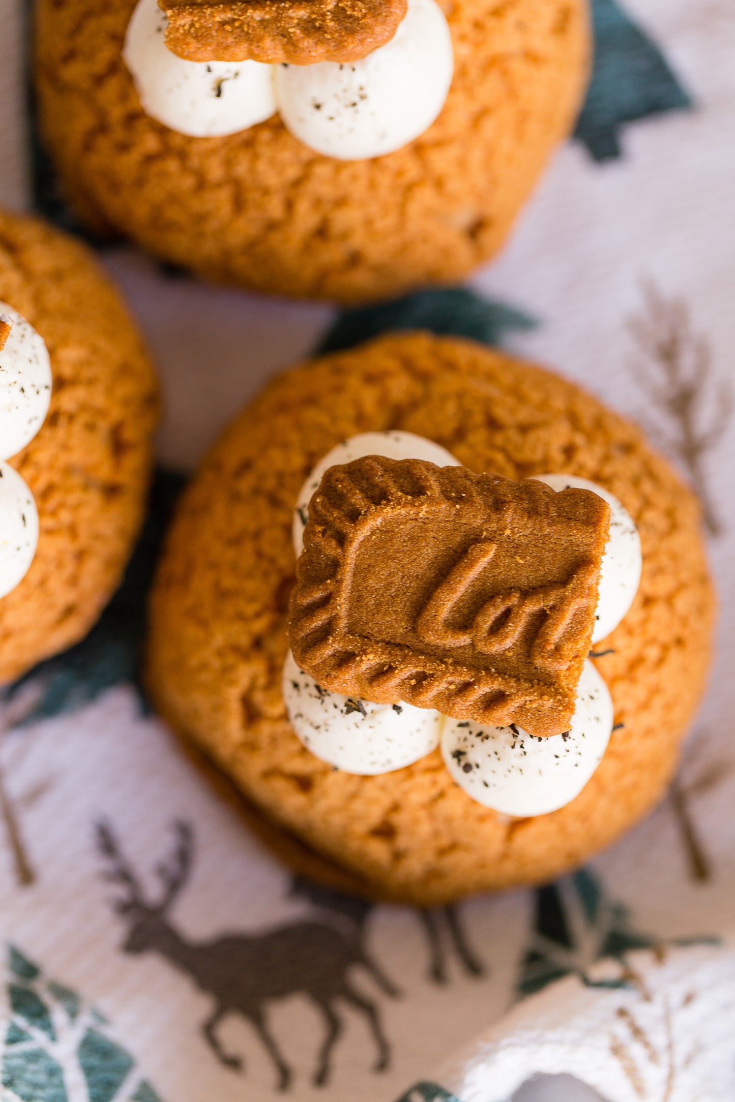 Biscoff Earl Grey Cream Puff