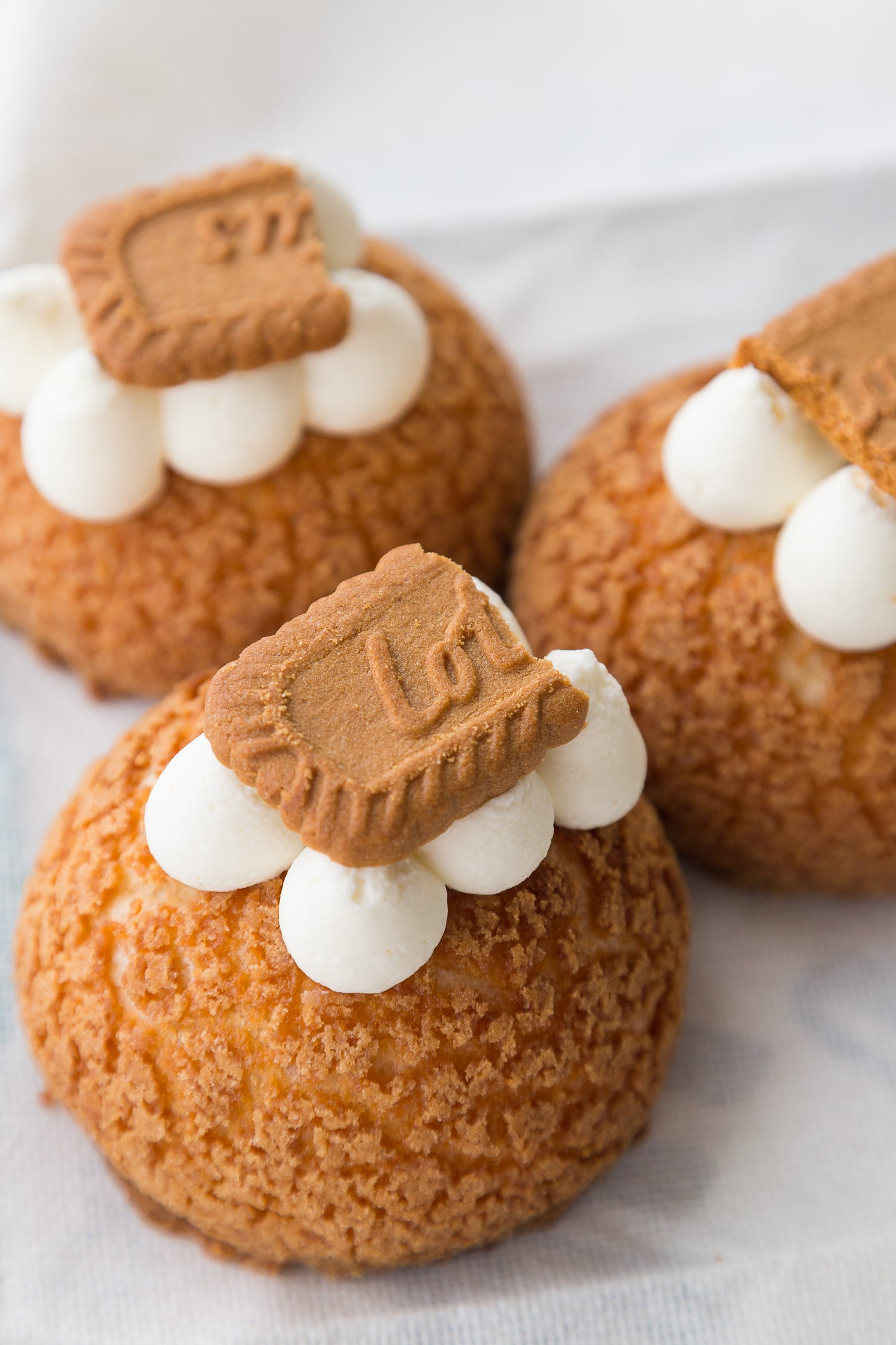 Biscoff Cheesecake Cream Puff