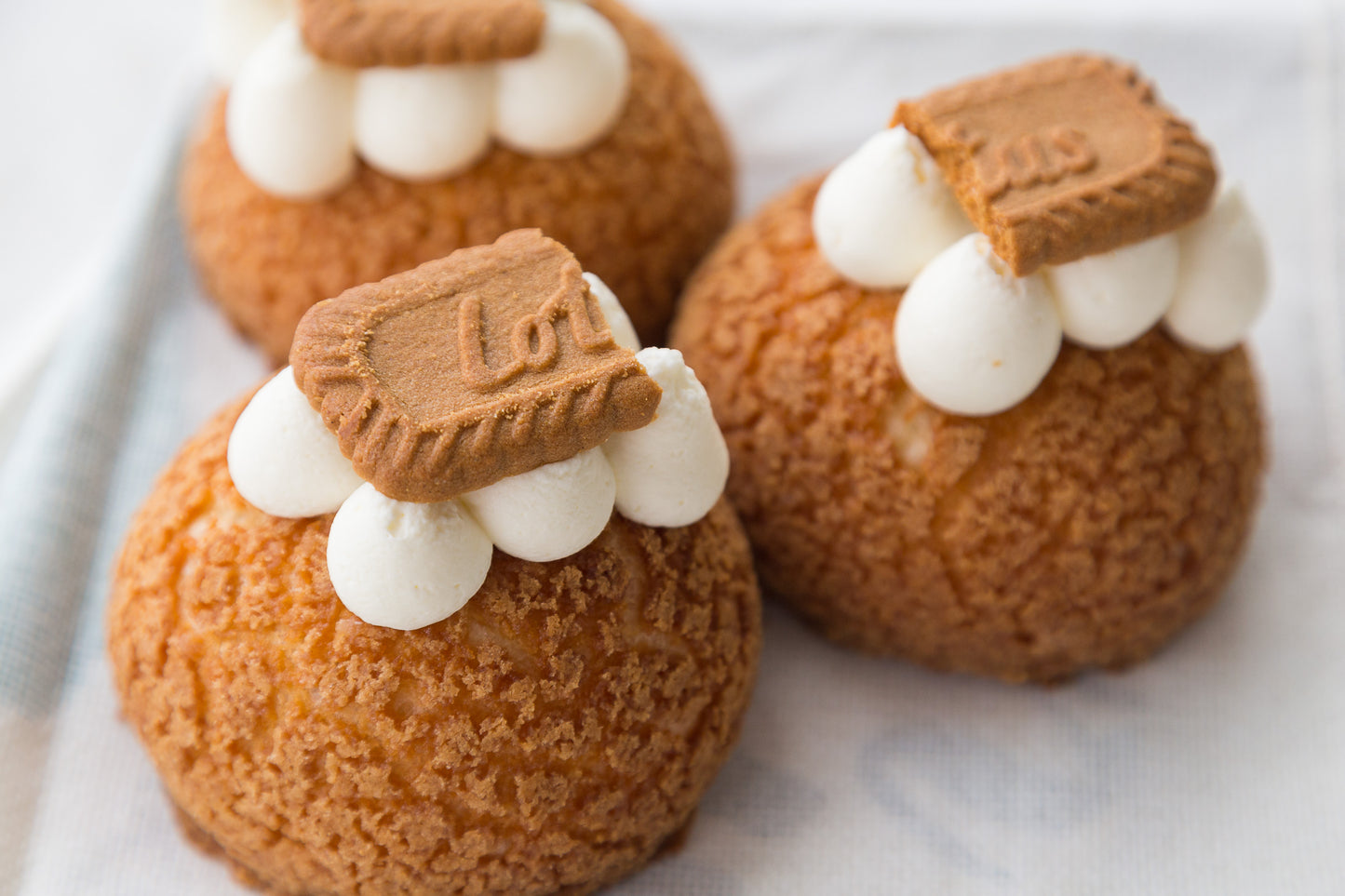 Biscoff Cheesecake Cream Puff