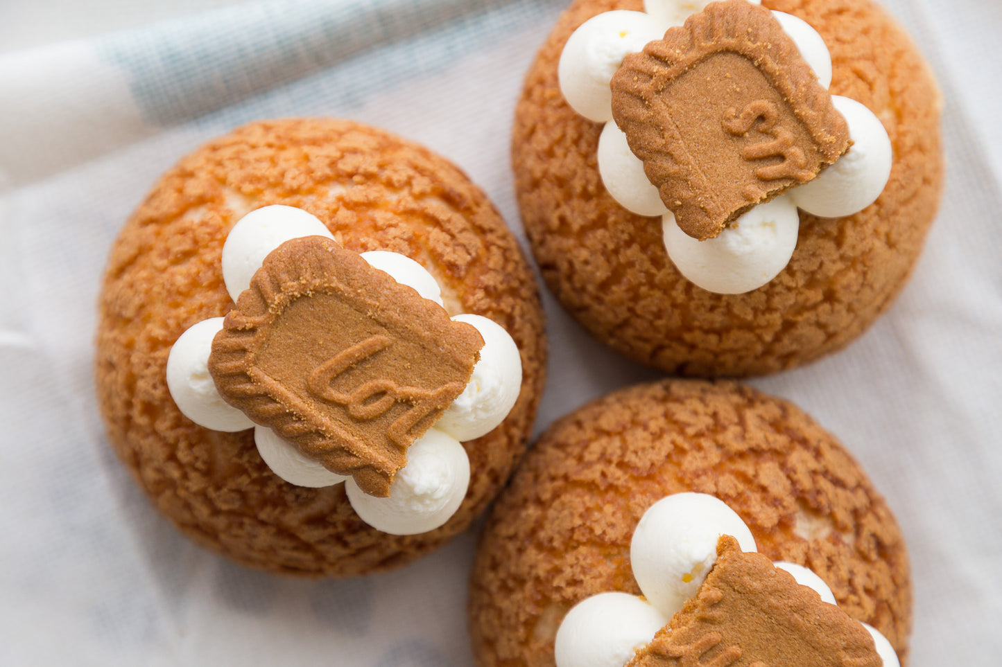 Mini Sized Holiday Cream Puff Packages