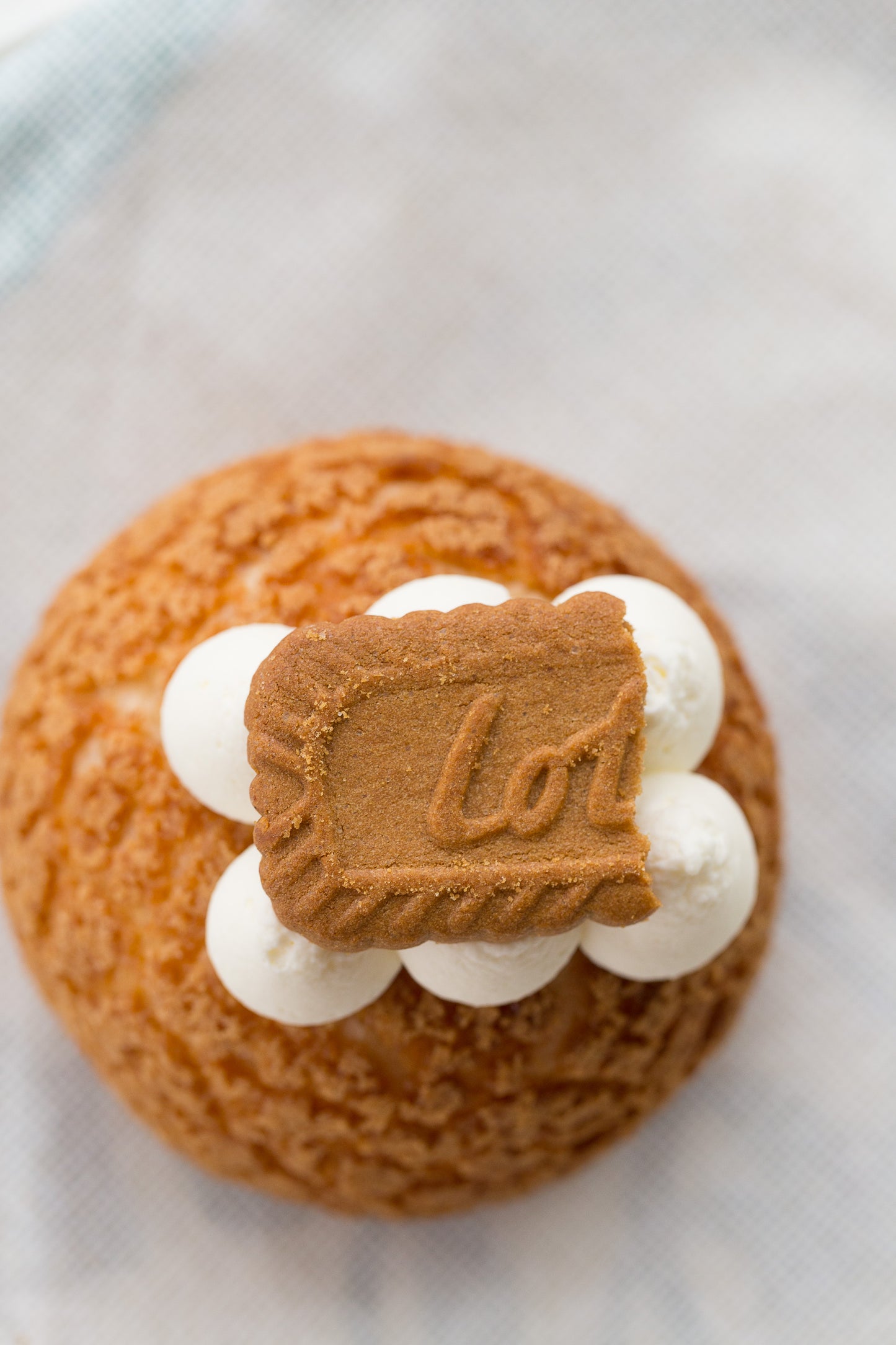 Mini Sized Holiday Cream Puff Packages