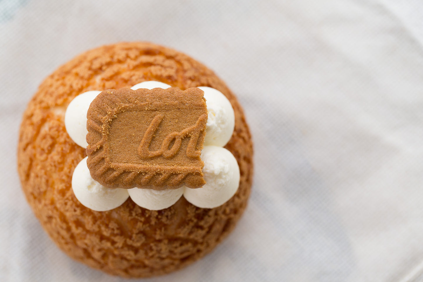 Biscoff Cheesecake Cream Puff